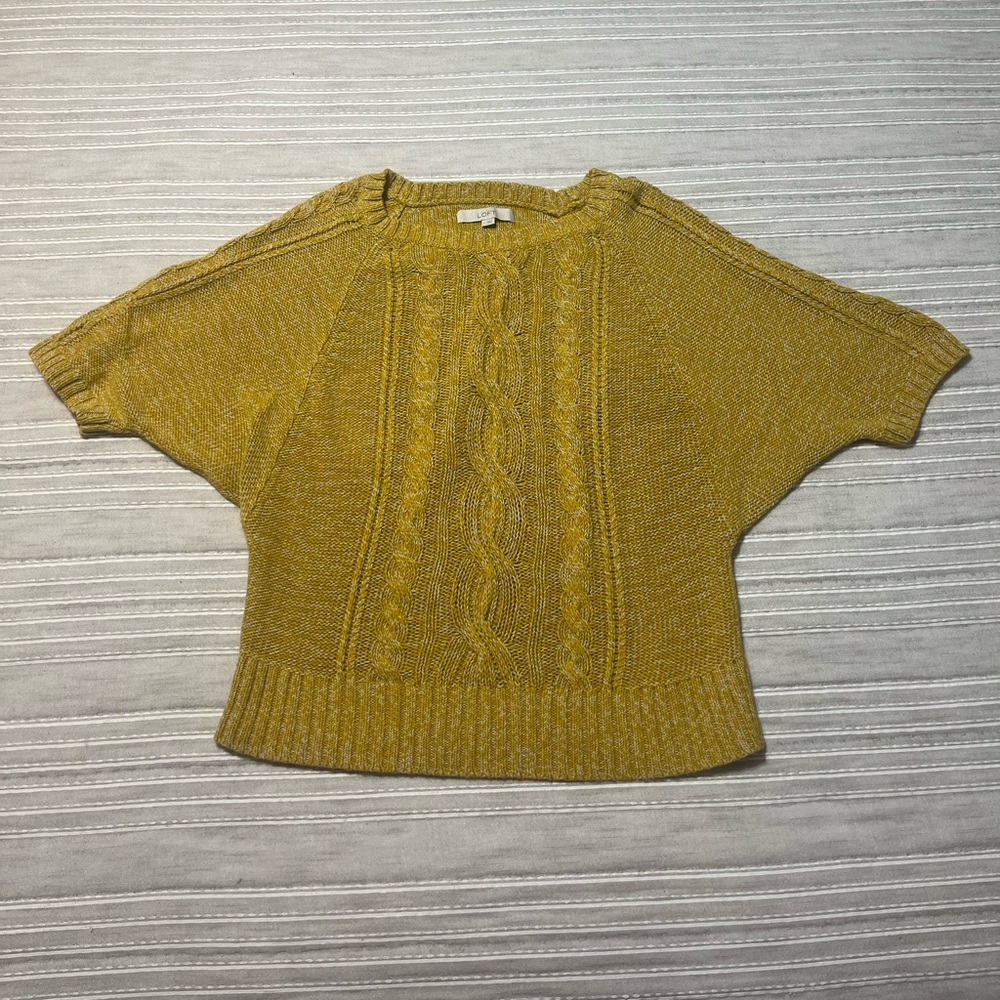 Raglan Sleeve Spring Sweater